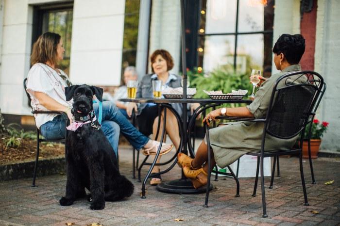 Pet Friendly The Madison Produce Company Deli and Provisions