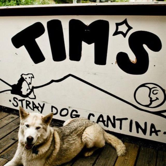 Tim's Stray Dog Cantina Is Pet Friendly