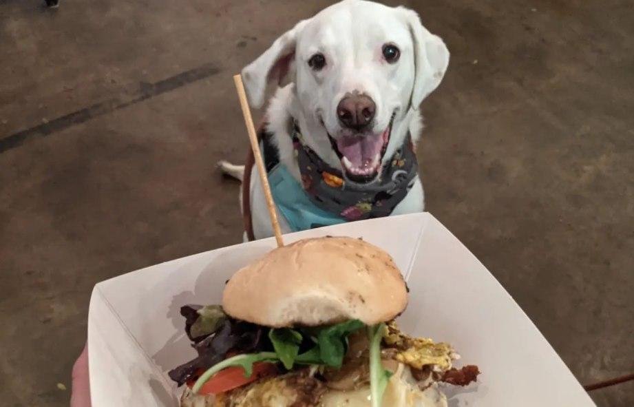 Pet Friendly The Outpost at Ohm Brewing Company