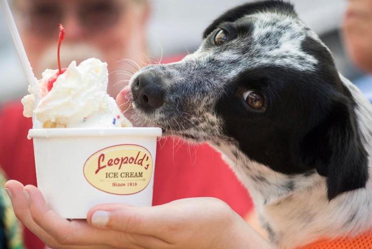 Pet Friendly Leopold's Ice Cream