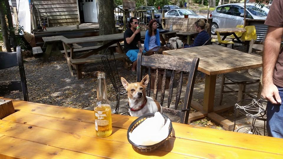 Dog-Friendly Restaurants in Folly Beach: Dine With Your Furry Companion