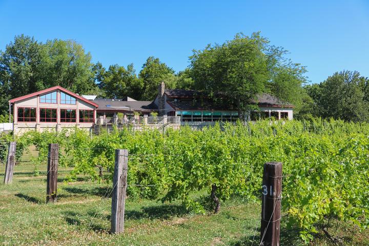 Pet Friendly Tabor Hill Winery