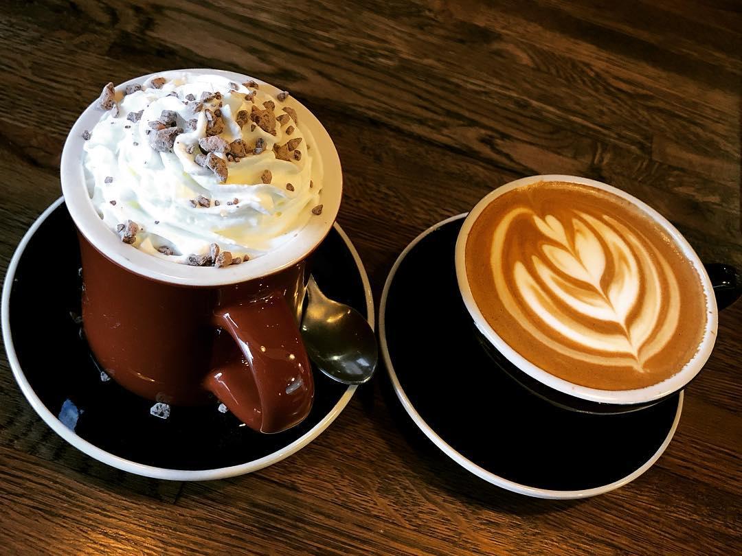 Terra Nova Coffee Roasters Is Pet Friendly