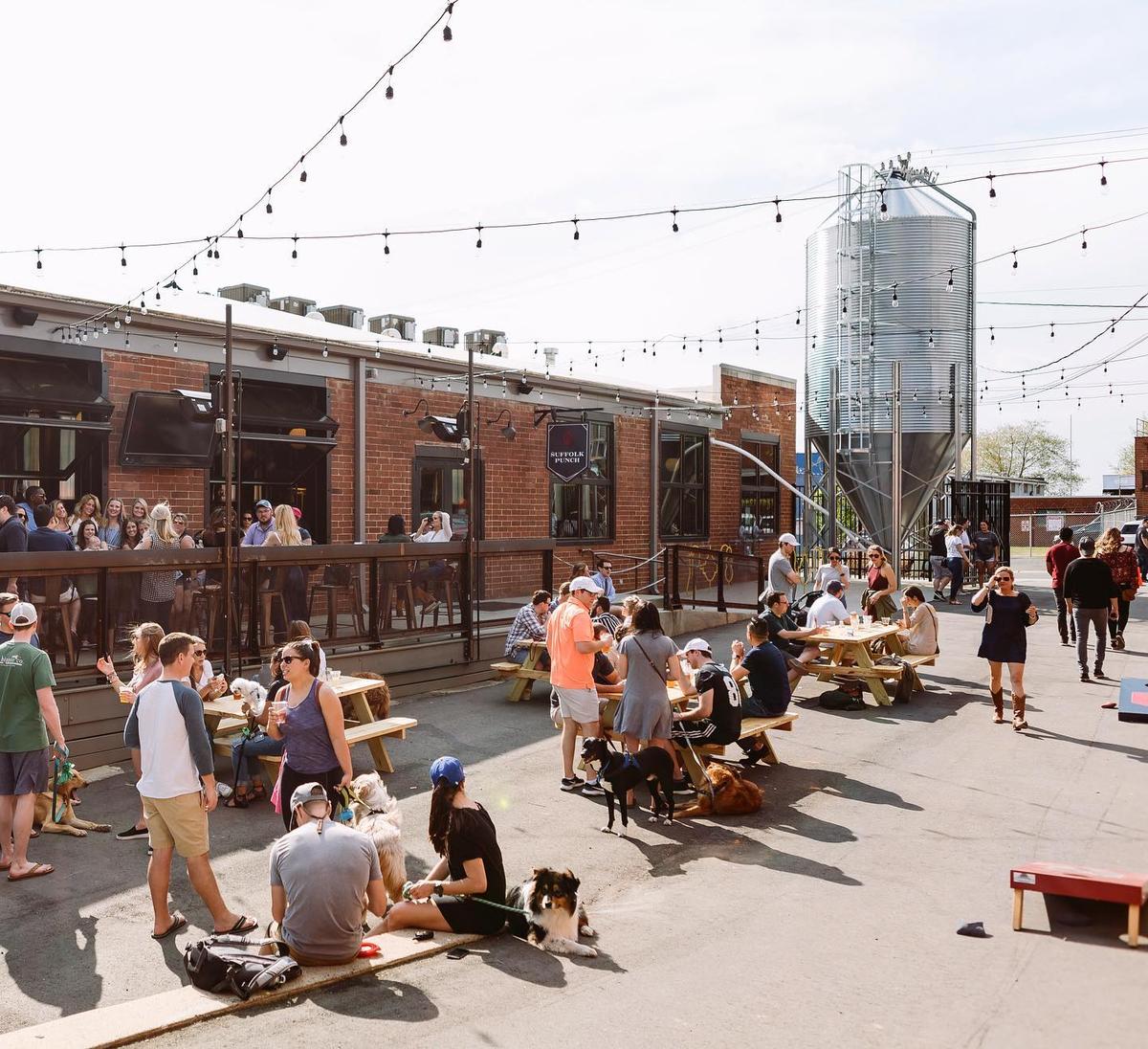 Suffolk Punch Brewing Is Pet Friendly