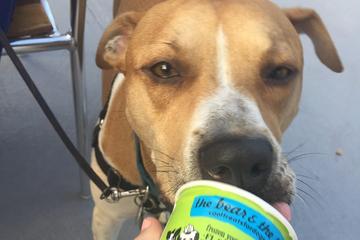 Dog Friendly Restaurants In Plymouth MA BringFido Dog Friendly Restaurants In Plymouth MA BringFido