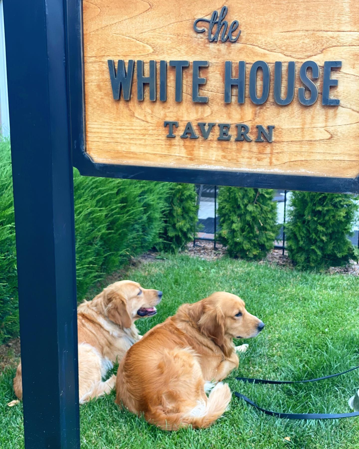 Pet Friendly White House Tavern