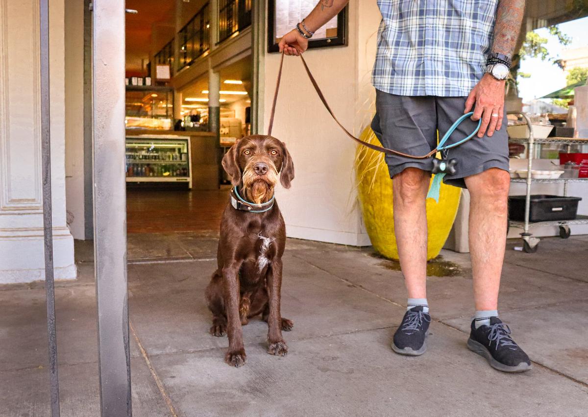 AK's Mercado Is Pet Friendly
