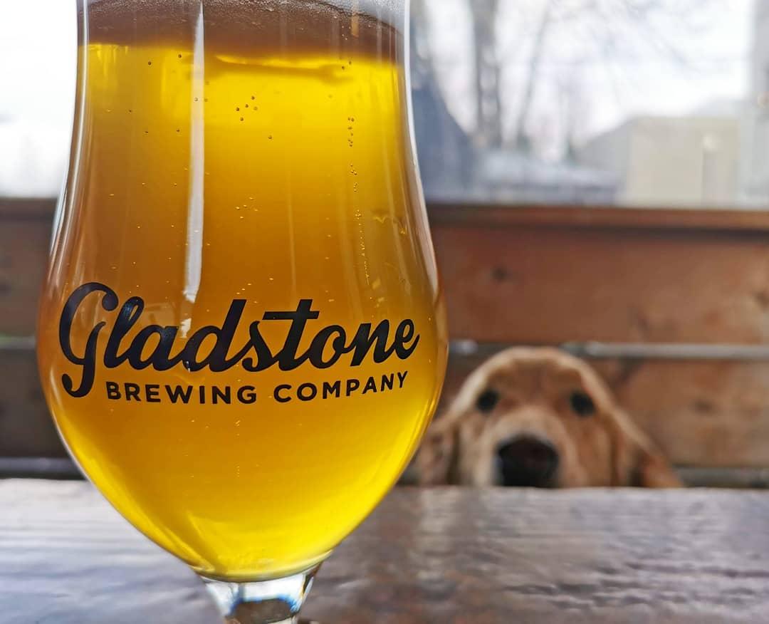 Pet Friendly Gladstone Brewing Co.