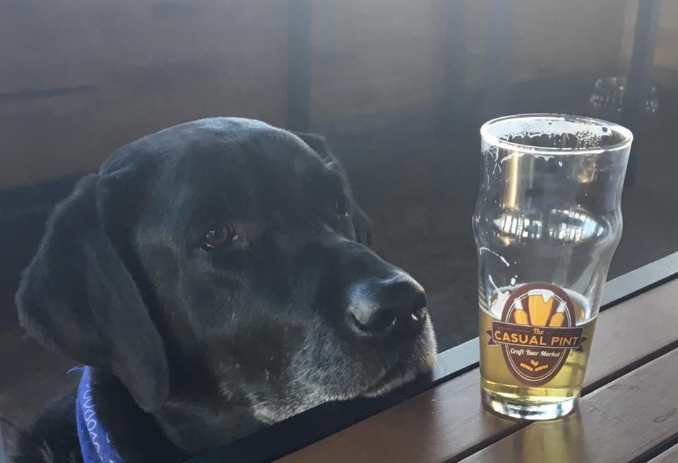 Pet Friendly The Casual Pint