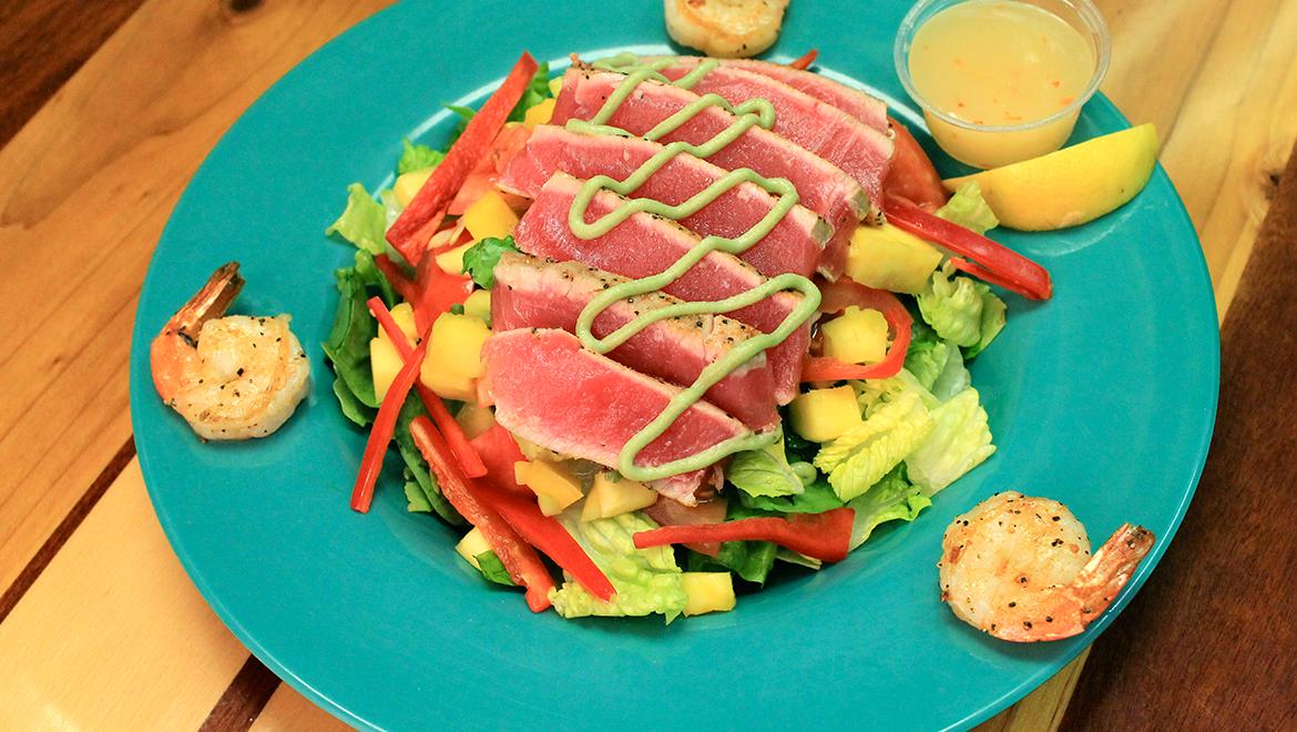 Coconut's Fish Cafe Shea Blvd Pet Policy