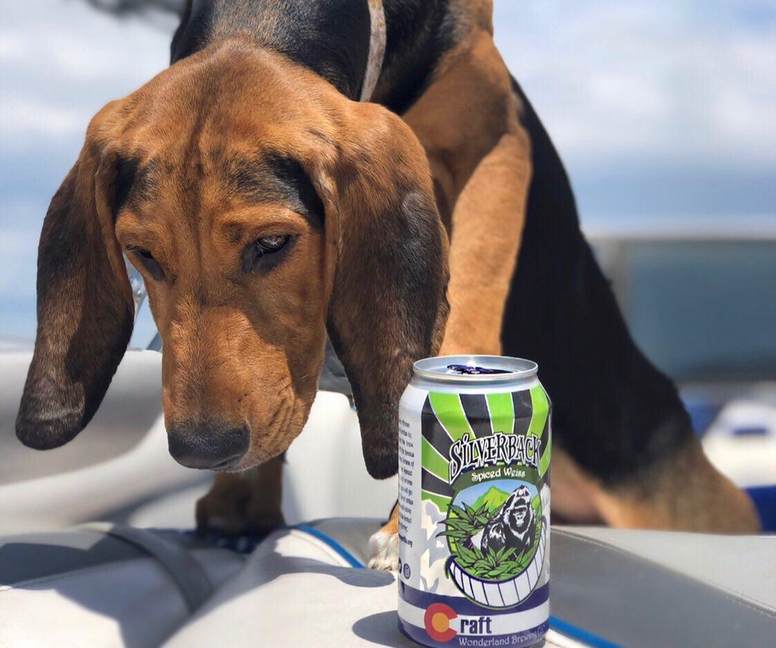 Dog Friendly Restaurants in Broomfield, CO BringFido