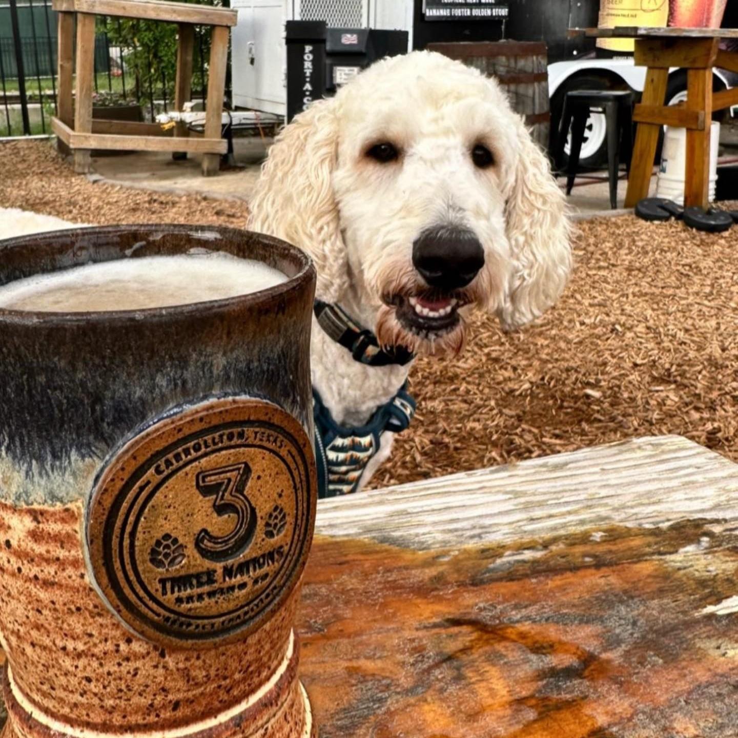 Pet Friendly 3 Nations Brewing