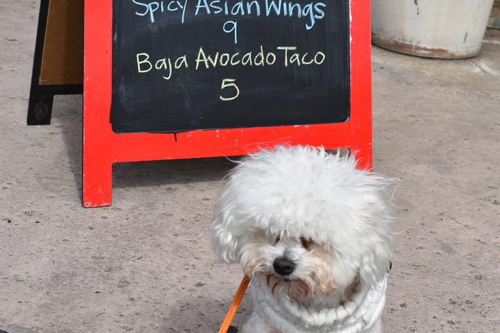 Pet Friendly Lola's Baja Tacos