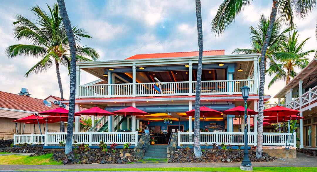 Pet Friendly Island Lava Java