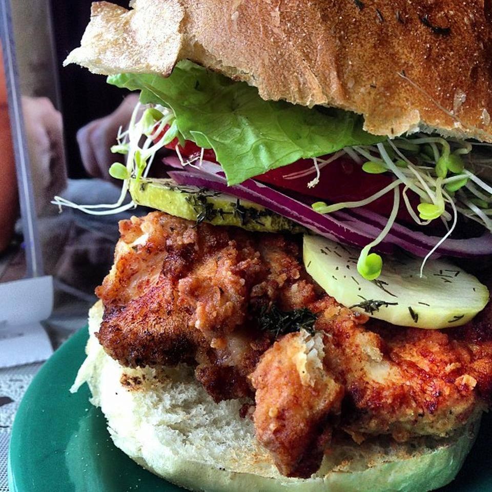 Homegrown Is Pet Friendly