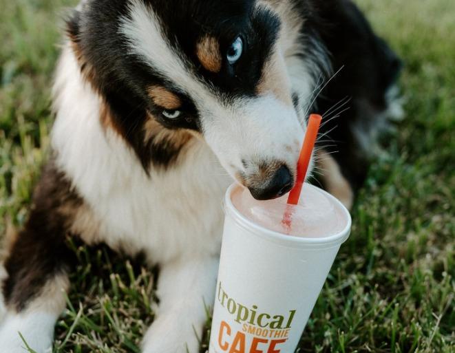 Dog Friendly Restaurants in Crestview, FL - BringFido