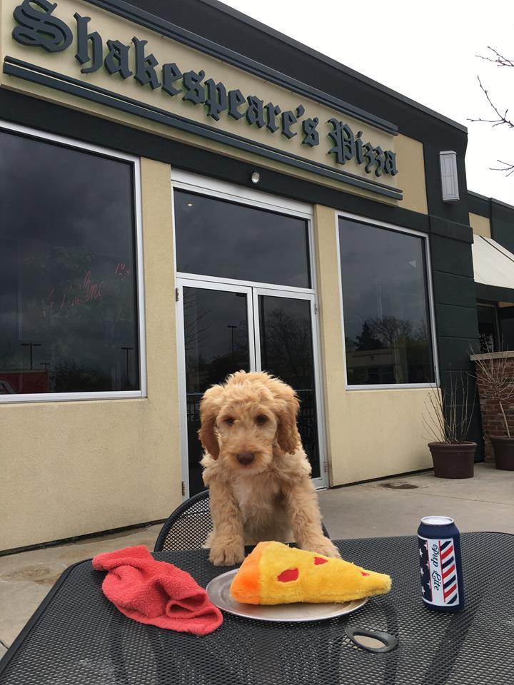 Pet Friendly Shakespeare's Pizza Downtown