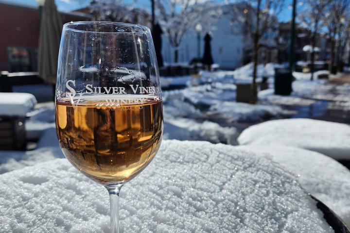 Pet Friendly Silver Vines Winery - Arvada