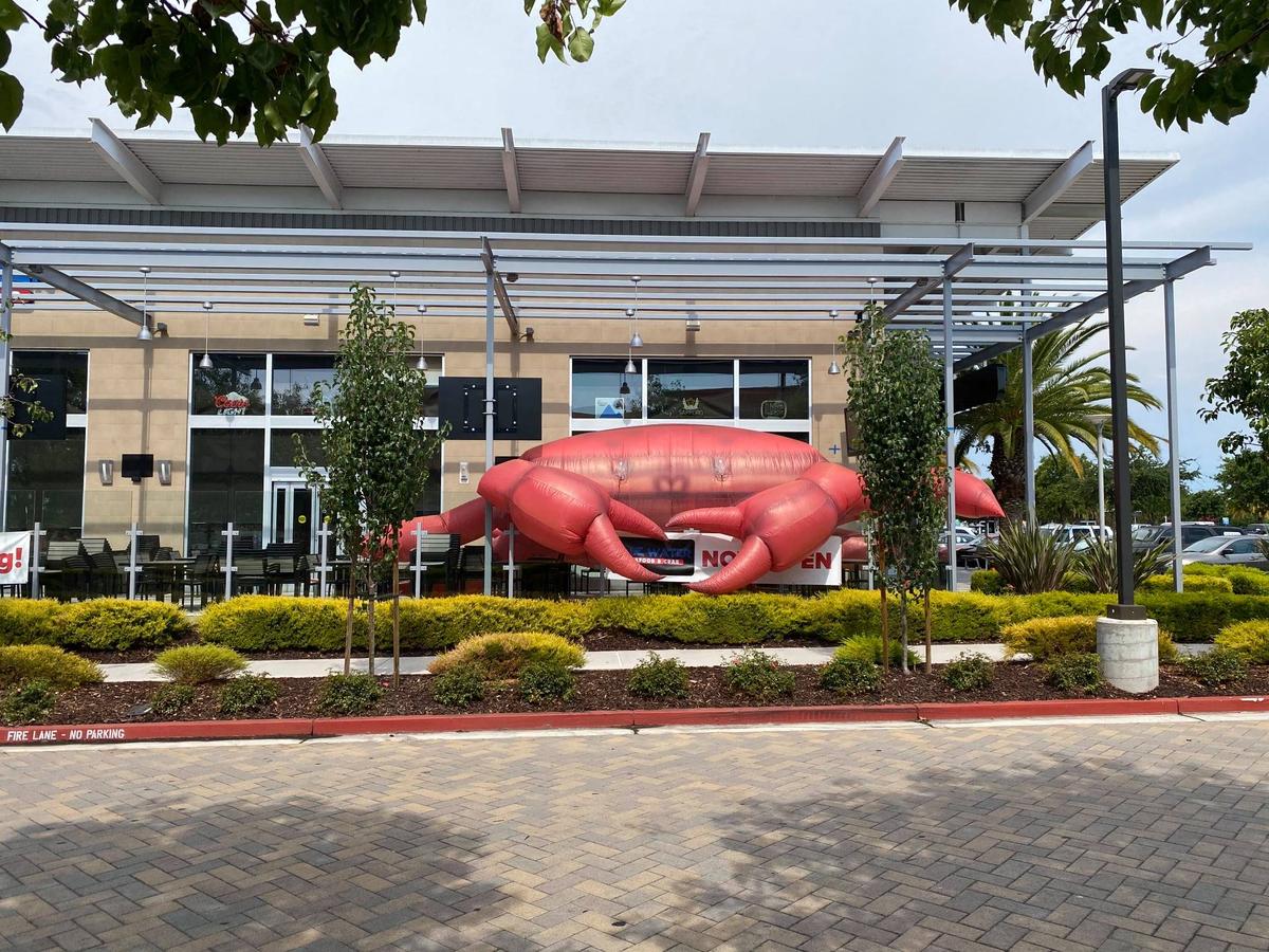 Blue Water Seafood And Crab Pet Policy blue-water-seafood-and-crab-pet-policy