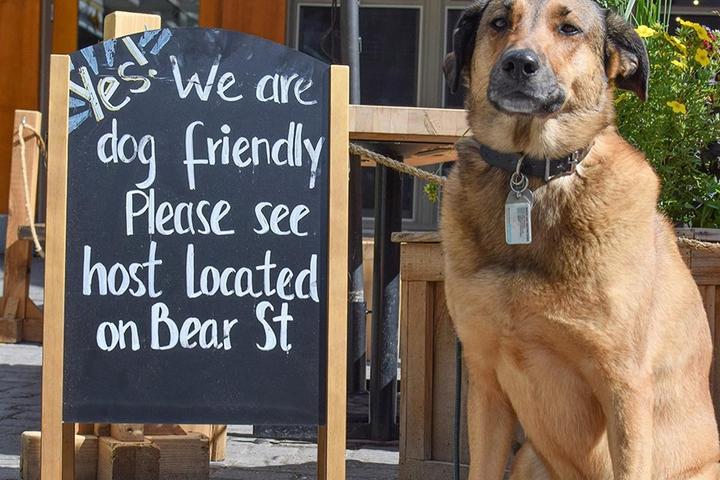 Pet Friendly Bear Street Tavern
