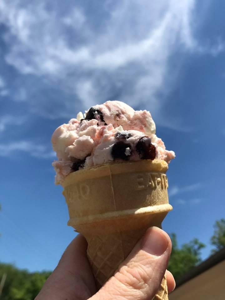 dog ice cream shops near me