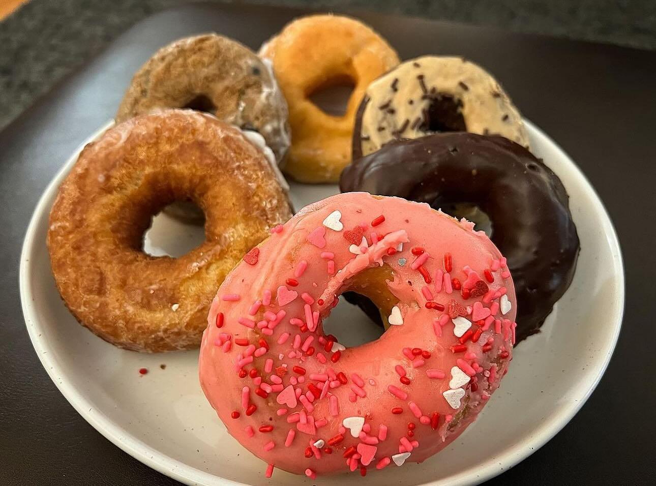 Pet Friendly Spunky Dunkers Donuts