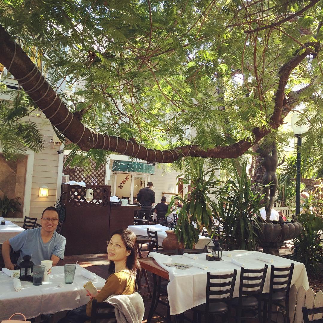 Dog Friendly Pizza Restaurants In Key West Fl Bringfido