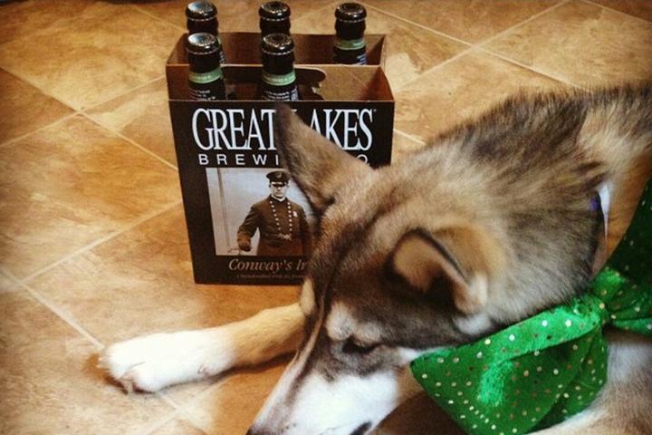 Pet Friendly Great Lakes Brewing Company