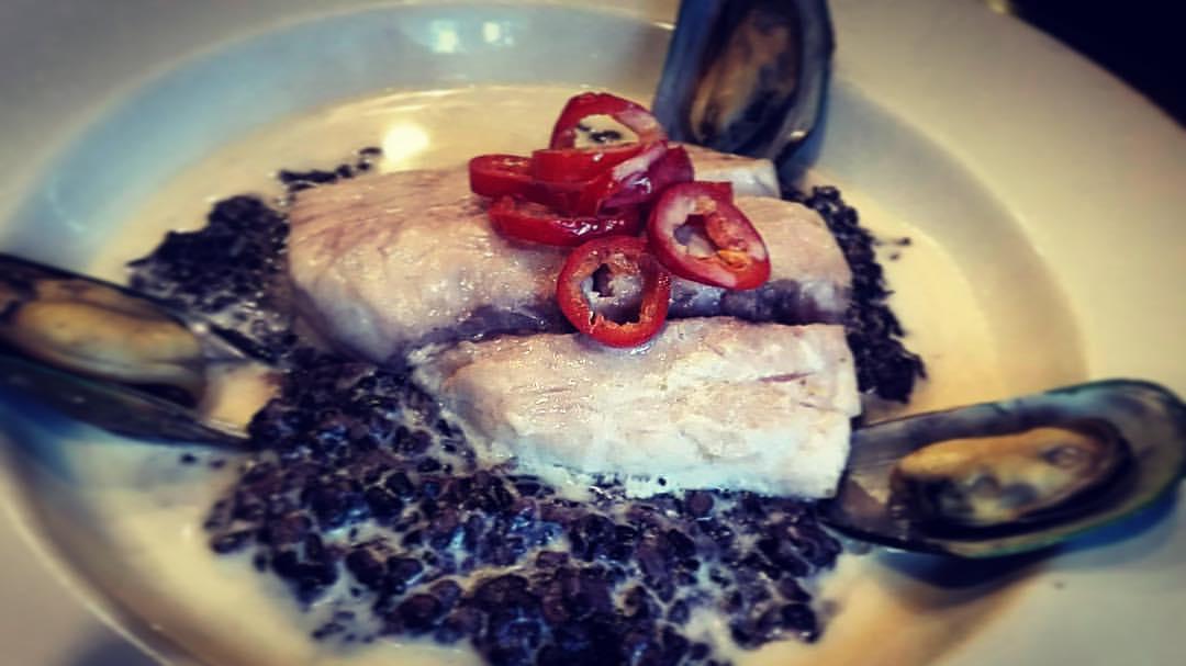 Dog Friendly Seafood Restaurants In Laurel Md Bringfido