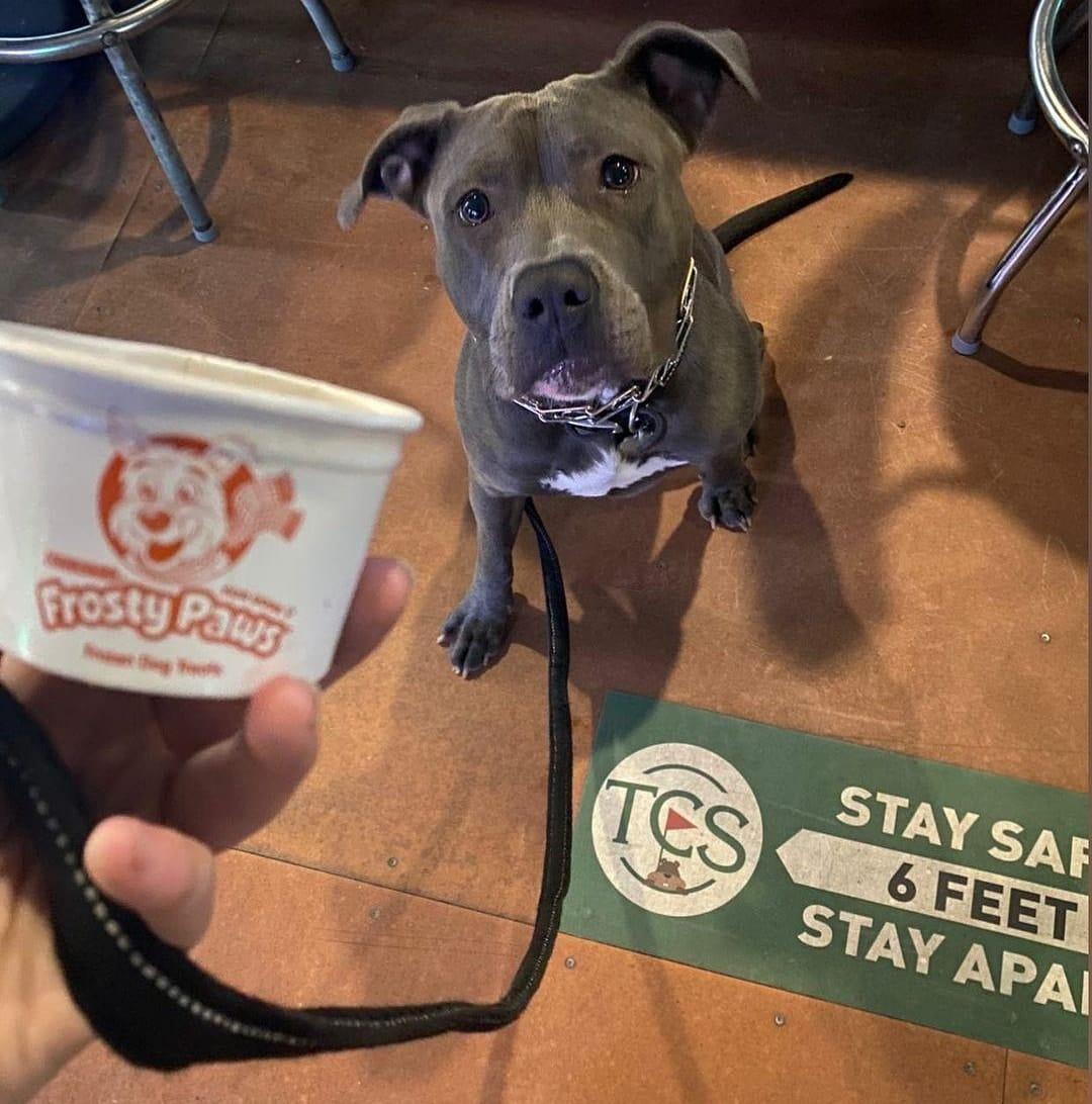 The Caddy Shack Indoor Golf & Pub Pet Policy