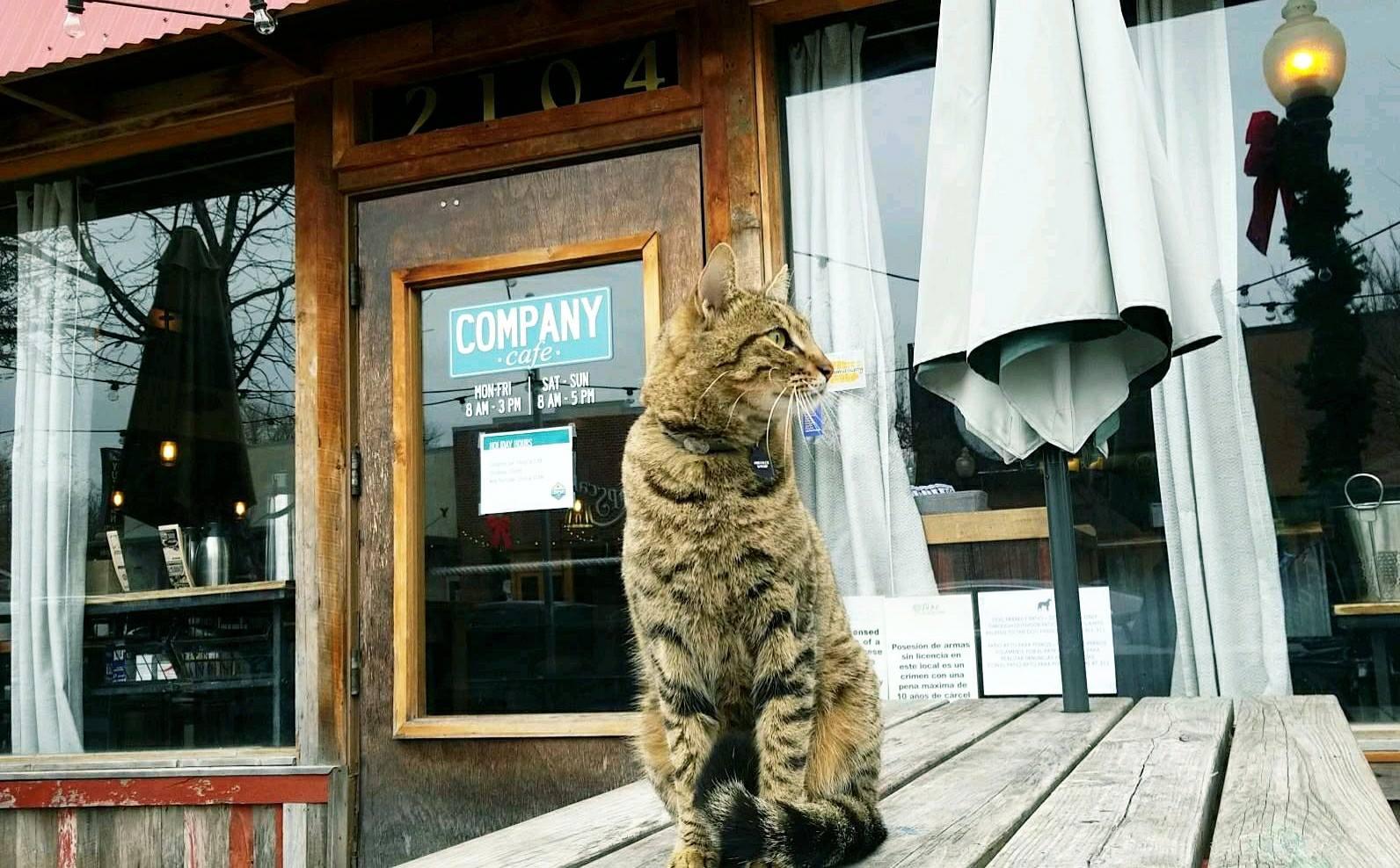 Pet Friendly Company Cafe & Bar