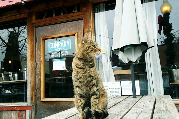 Pet Friendly Company Cafe & Bar