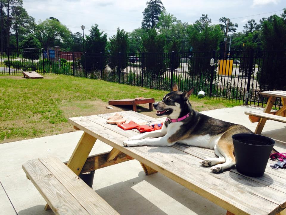 The Coop Bar and Grill Is Pet Friendly