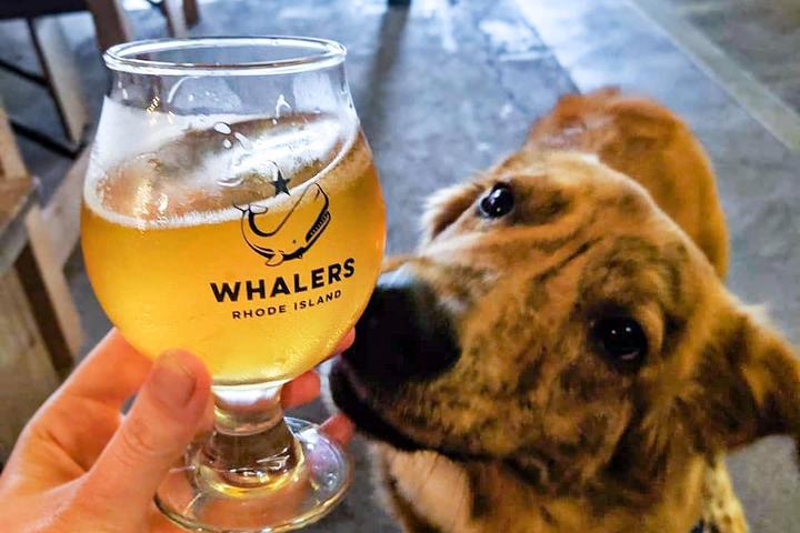 Pet Friendly Whalers Brewing Company