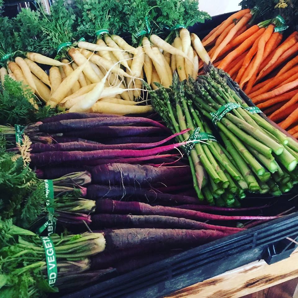 Jackie O�s Taproom Is Pet Friendly