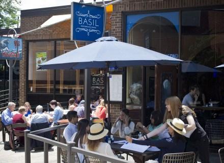 Basil Mediterranean Bistro Is Pet Friendly