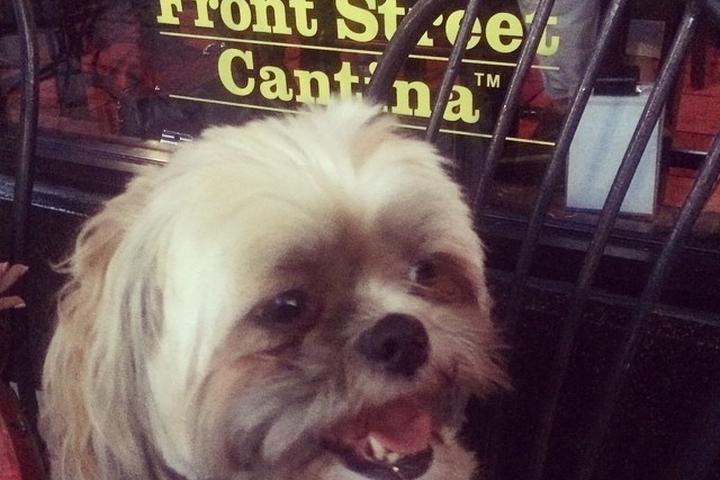 Pet Friendly Front Street Cantina