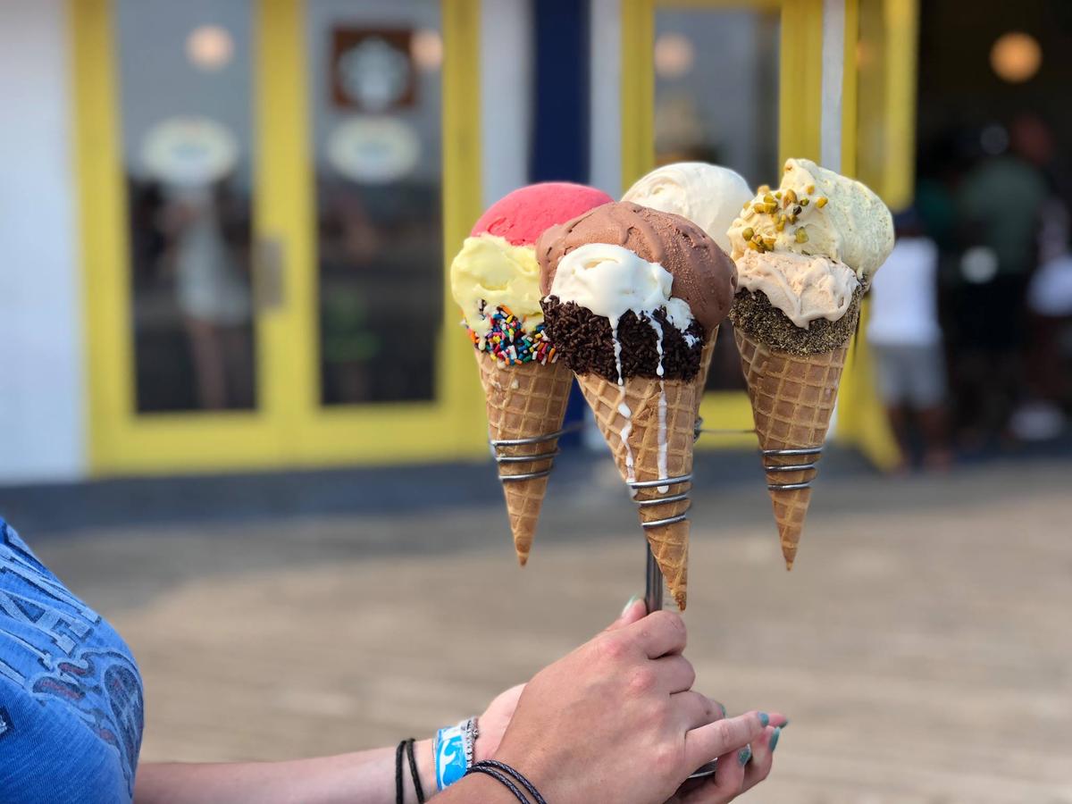 Dog Friendly Ice Cream Shops in Brooklyn NY BringFido