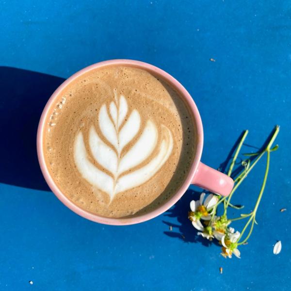 Greenhouse Biloxi Pet Policy greenhouse-biloxi-pet-policy