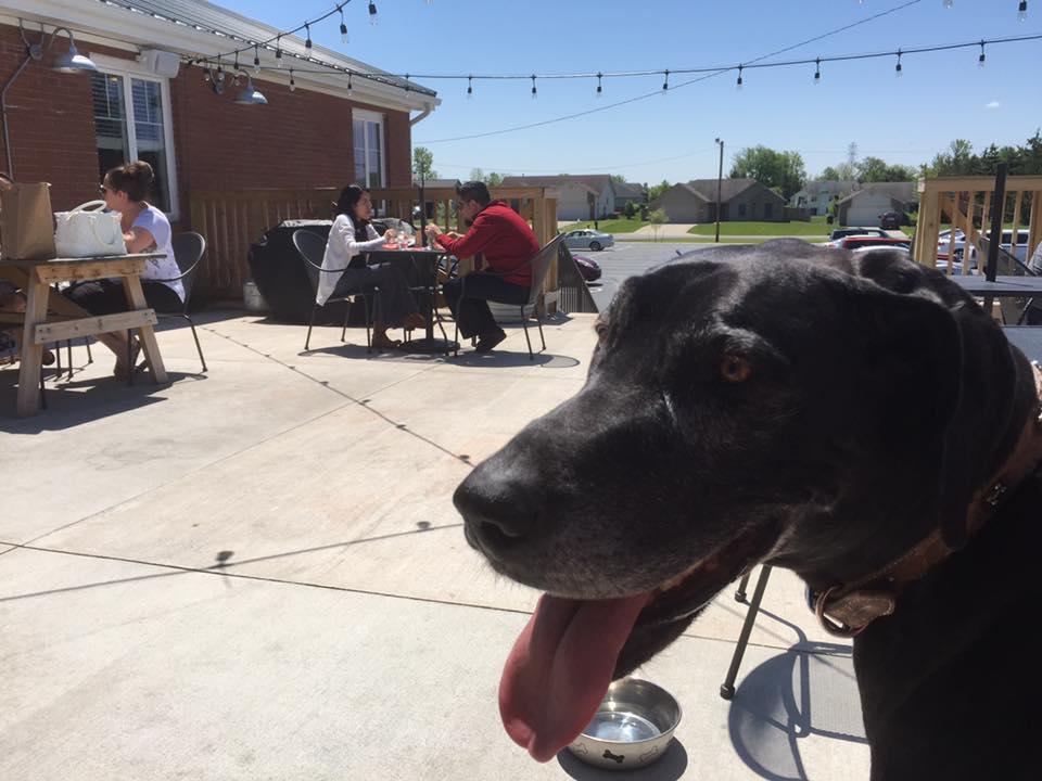 Dog Friendly Restaurants In Fort Wayne In Bringfido