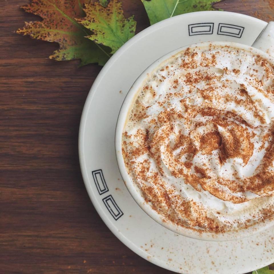 (Closed) The Jam Coffee House Pet Policy