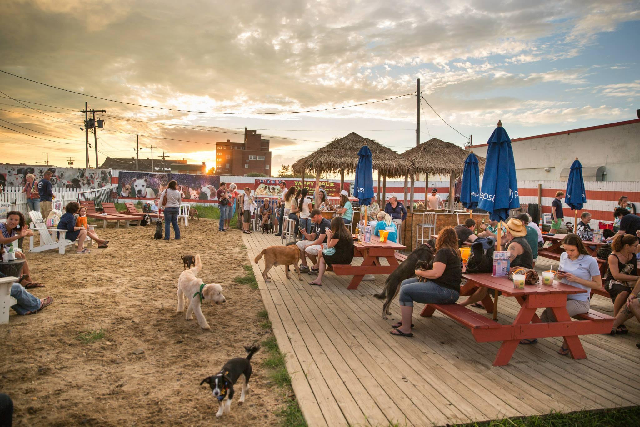 Dog Friendly Restaurants In Asbury Park Nj Bringfido