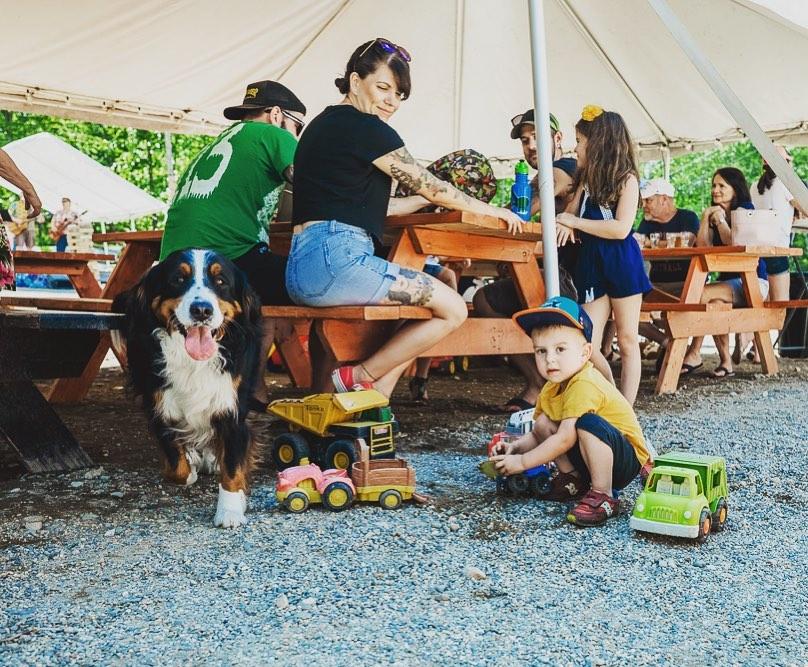 Pet Friendly Funky Bow Brewery & Beer Company