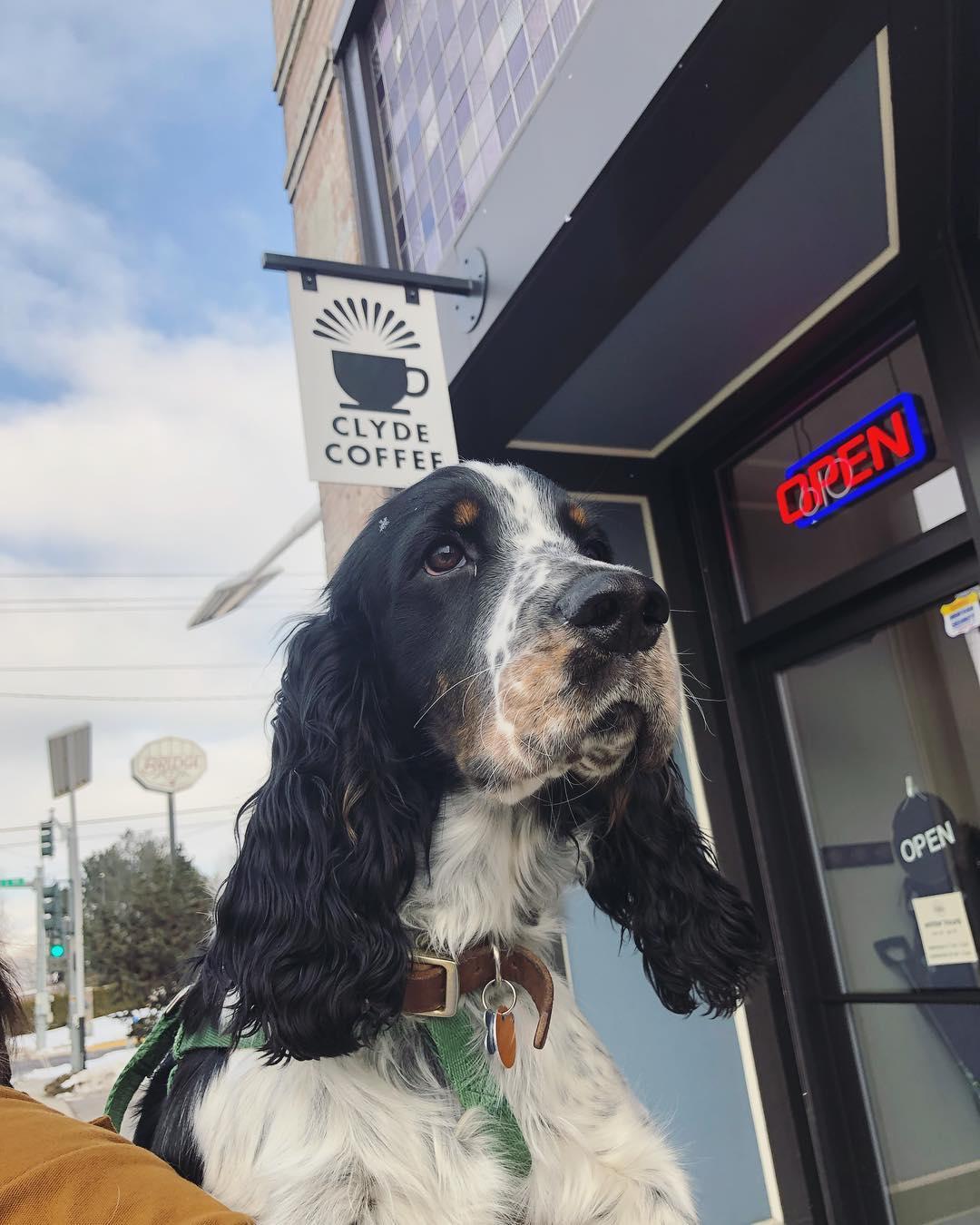 Pet Friendly Clyde Coffee
