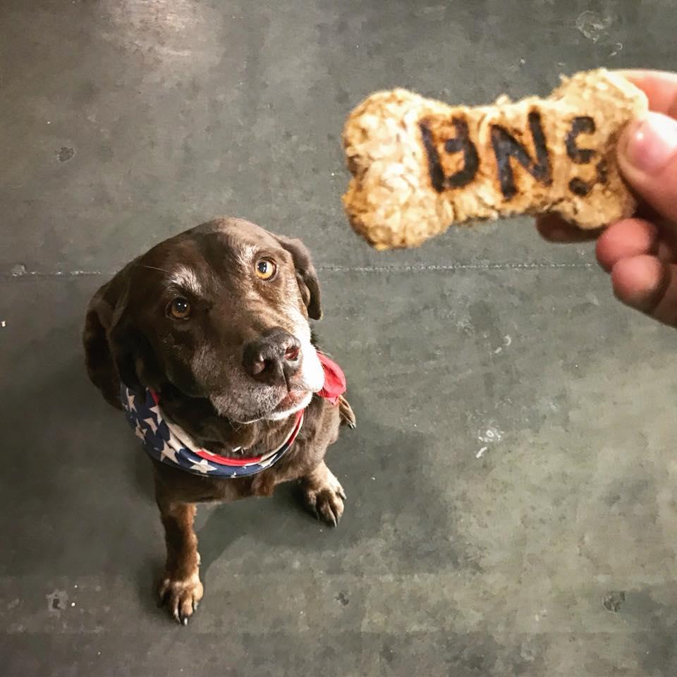 Pet Friendly BNS Brewing and Distilling Co