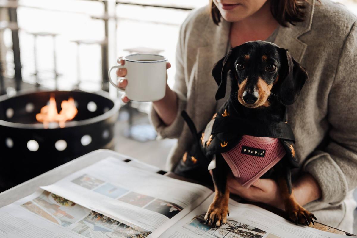 places to eat with dog near me