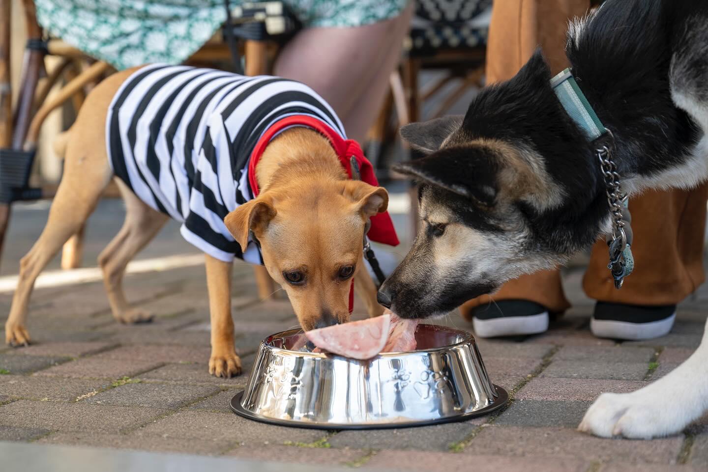 Pet Friendly Left Bank Brasserie