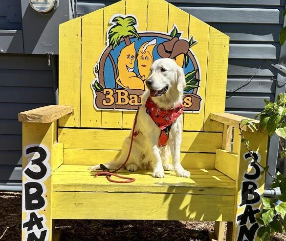 Pet Friendly 3 Bananas