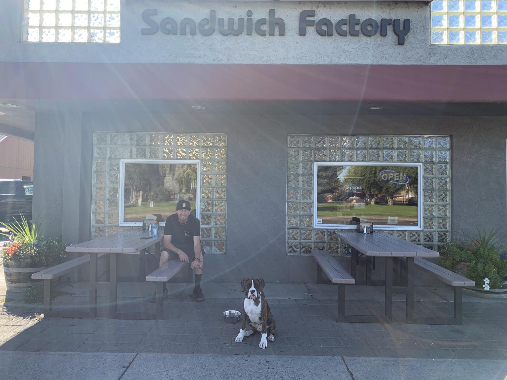 Pet Friendly The Sandwich Factory
