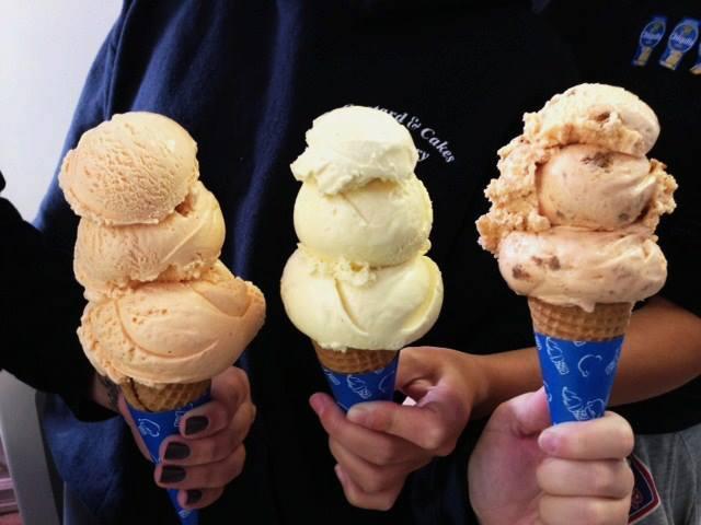 dog ice cream shops near me